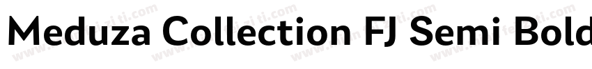 Meduza Collection FJ Semi Bold Text字体转换